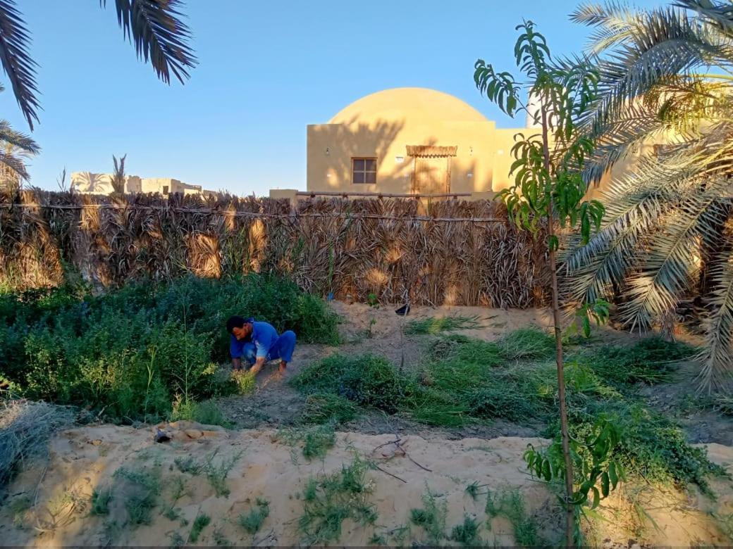 Вилла Wafla Siwa Oasis Экстерьер фото