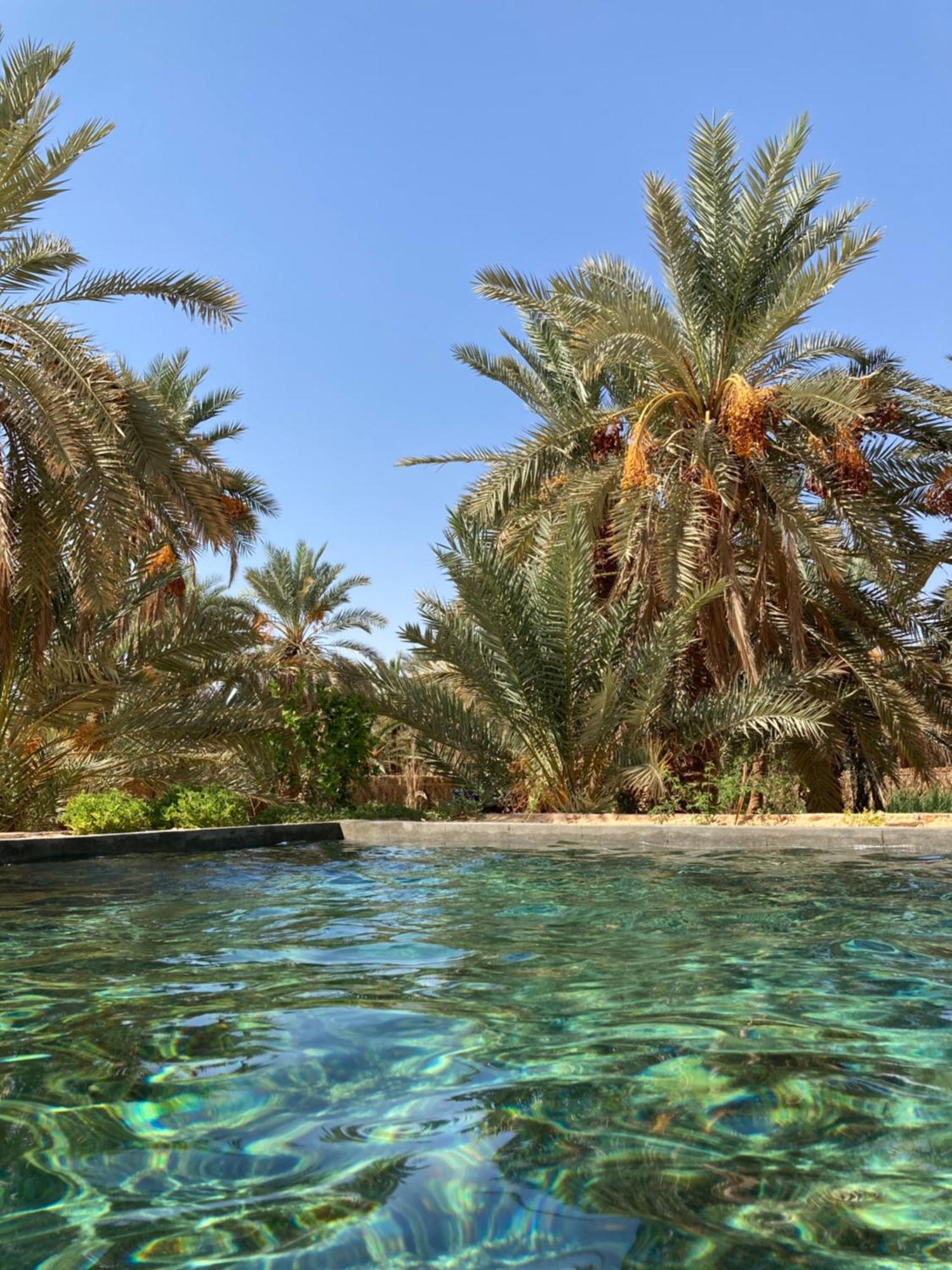 Вилла Wafla Siwa Oasis Экстерьер фото