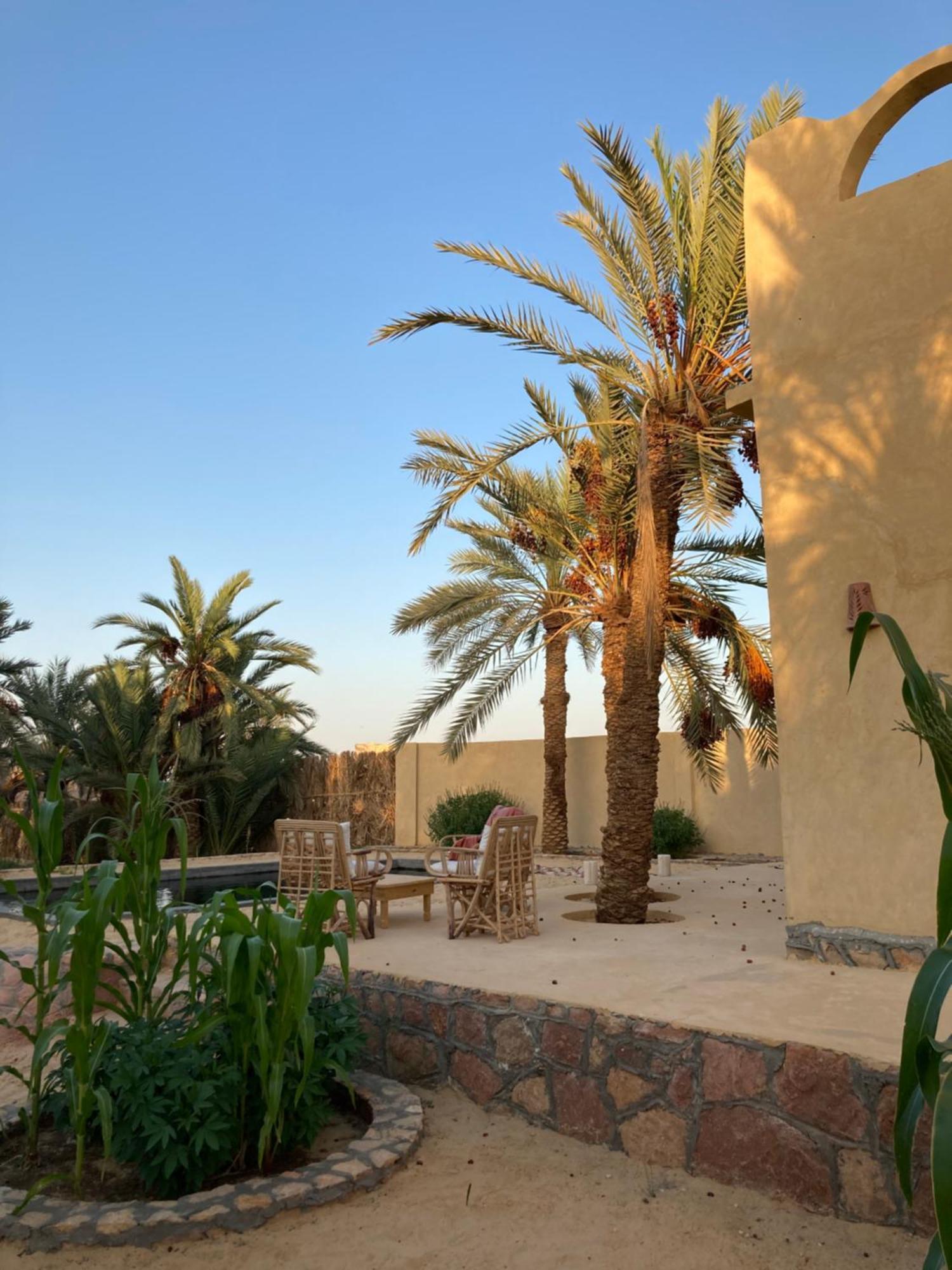 Вилла Wafla Siwa Oasis Экстерьер фото
