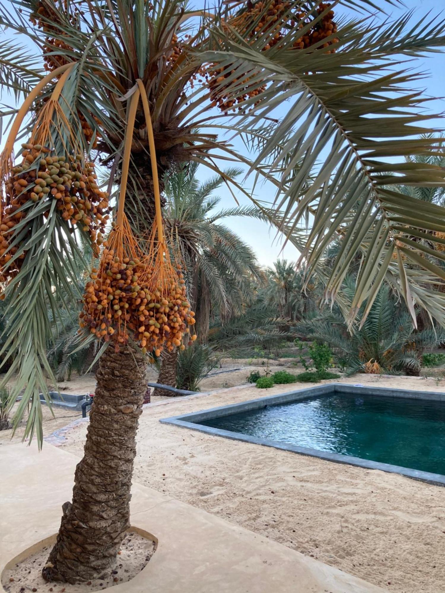 Вилла Wafla Siwa Oasis Экстерьер фото